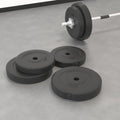 NNEVL Weight Plates 4 pcs 30 kg Cement-0
